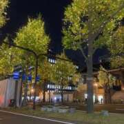 ヒメ日記 2024/12/17 21:21 投稿 最上みくる 禁断のメンズエステR-18堺・南大阪店