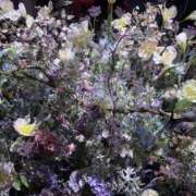 ヒメ日記 2025/02/05 14:42 投稿 最上みくる 禁断のメンズエステR-18堺・南大阪店