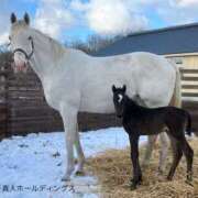 ヒメ日記 2025/02/13 19:18 投稿 最上みくる 禁断のメンズエステR-18堺・南大阪店