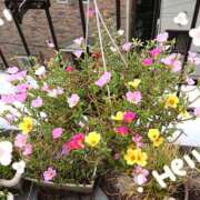 ヒメ日記 2025/08/22 16:34 投稿 琴美（ことみ） 激やみ！痴女伝説　鶯谷店