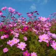 ヒメ日記 2025/09/19 17:20 投稿 琴美（ことみ） 激やみ！痴女伝説　鶯谷店