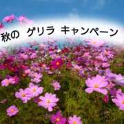 ヒメ日記 2025/10/05 14:49 投稿 琴美（ことみ） 激やみ！痴女伝説　鶯谷店