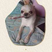 ヒメ日記 2025/10/06 14:13 投稿 琴美（ことみ） 激やみ！痴女伝説　鶯谷店