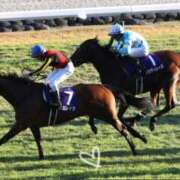 ヒメ日記 2025/11/16 16:11 投稿 琴美（ことみ） 激やみ！痴女伝説　鶯谷店