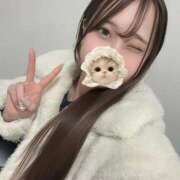 ヒメ日記 2025/02/14 16:18 投稿 あの シンデレラ【平均年齢20才、風俗未経験の娘が8割以上】