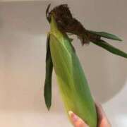 ヒメ日記 2025/07/06 12:10 投稿 あすか キミの乳首が好き！！大阪店