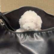 ヒメ日記 2026/01/31 17:38 投稿 あすか キミの乳首が好き！！大阪店