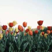 あすか 明日います🌷 キミの乳首が好き！！大阪店