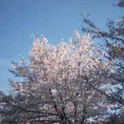 あすか ありがとう💐 キミの乳首が好き！！大阪店