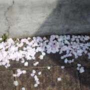 ヒメ日記 2026/04/14 19:28 投稿 あすか キミの乳首が好き！！大阪店