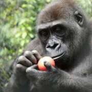 ヒメ日記 2024/12/17 08:06 投稿 のあ ぽちゃらん神栖店