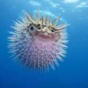 ヒメ日記 2024/12/18 12:46 投稿 のあ ぽちゃらん神栖店