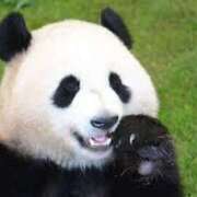 ヒメ日記 2024/12/18 17:16 投稿 のあ ぽちゃらん神栖店