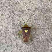 ヒメ日記 2025/04/20 09:46 投稿 のあ ぽちゃらん神栖店