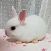 ヒメ日記 2025/05/03 12:56 投稿 のあ ぽちゃらん神栖店