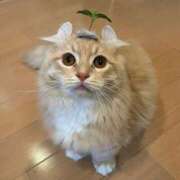 ヒメ日記 2026/01/12 21:56 投稿 のあ ぽちゃらん神栖店