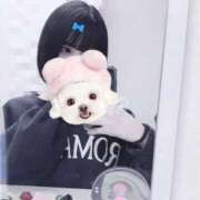 ヒメ日記 2026/01/14 21:46 投稿 のあ ぽちゃらん神栖店