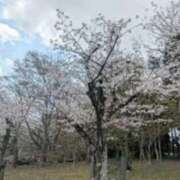 ヒメ日記 2025/04/08 10:16 投稿 さえ 快楽玉乱堂