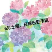 ヒメ日記 2025/06/06 00:06 投稿 さえ 快楽玉乱堂