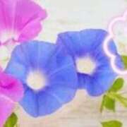 ヒメ日記 2025/07/02 08:46 投稿 さえ 快楽玉乱堂