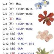 ヒメ日記 2025/09/02 21:46 投稿 さえ 快楽玉乱堂