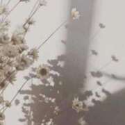 ヒメ日記 2025/10/27 16:46 投稿 さえ 快楽玉乱堂