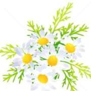 ヒメ日記 2026/02/14 22:16 投稿 さえ 快楽玉乱堂