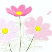 ヒメ日記 2026/02/28 09:16 投稿 さえ 快楽玉乱堂