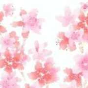 ヒメ日記 2026/03/27 13:36 投稿 さえ 快楽玉乱堂