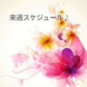 ヒメ日記 2026/04/11 10:26 投稿 さえ 快楽玉乱堂