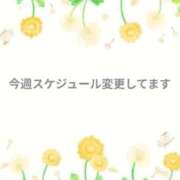 ヒメ日記 2026/04/14 15:16 投稿 さえ 快楽玉乱堂