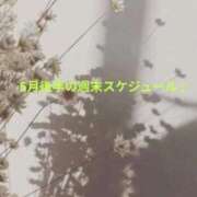 ヒメ日記 2026/05/16 11:06 投稿 さえ 快楽玉乱堂