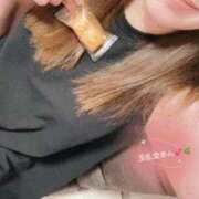 ヒメ日記 2025/07/10 14:16 投稿 あん 快楽玉乱堂