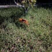 ヒメ日記 2025/08/03 06:16 投稿 あん 快楽玉乱堂