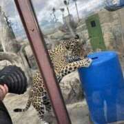 ヒメ日記 2026/03/22 11:36 投稿 あん 快楽玉乱堂