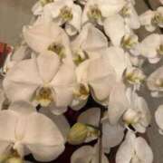 あん 心配かけてごめん 快楽玉乱堂