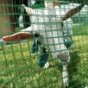 あん 4/29 快楽玉乱堂