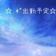 ヒメ日記 2024/02/25 19:51 投稿 ぽむ マリンブルー土浦本店