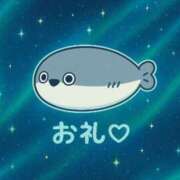 ヒメ日記 2025/06/27 09:53 投稿 ぽむ マリン土浦本店