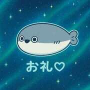 ヒメ日記 2025/07/09 11:21 投稿 ぽむ マリン土浦本店