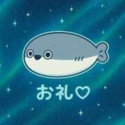 ヒメ日記 2025/07/12 09:41 投稿 ぽむ マリン土浦本店