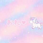 ヒメ日記 2025/07/23 10:52 投稿 ぽむ マリン土浦本店