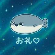ヒメ日記 2025/09/09 09:43 投稿 ぽむ マリン土浦本店