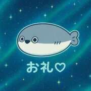 ヒメ日記 2025/09/10 17:31 投稿 ぽむ マリン土浦本店