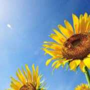 こまち あちち 出会い系人妻ネットワーク 春日部〜岩槻編