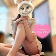 ヒメ日記 2025/02/12 19:12 投稿 なお バッキンガム