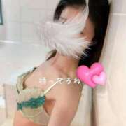 なお 愛らしい芽生え バッキンガム