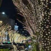 ヒメ日記 2025/12/18 21:35 投稿 こころ バッキンガム