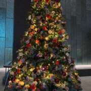 こころ メリーでした バッキンガム