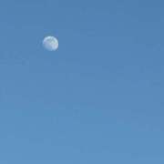 こころ お疲れ様です バッキンガム